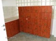 butor002